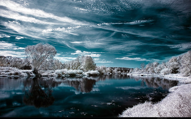 icy trees scenery, landscape, water, winter, lake, infrared, sky, HD wallpaper