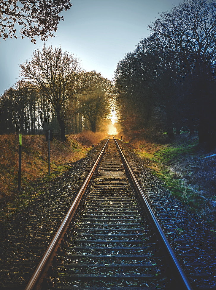 brown metal train rails, railway, trees, sunset, the way forward