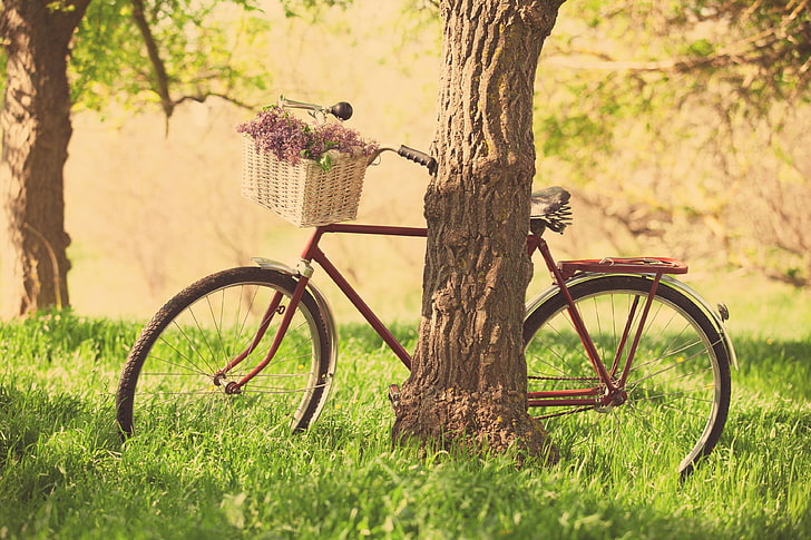 red city bike, greens, grass, leaves, trees, flowers, nature
