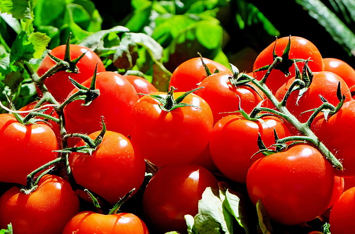 bunch of cherry tomatoes, twig, vegetable, food, freshness, red, HD wallpaper