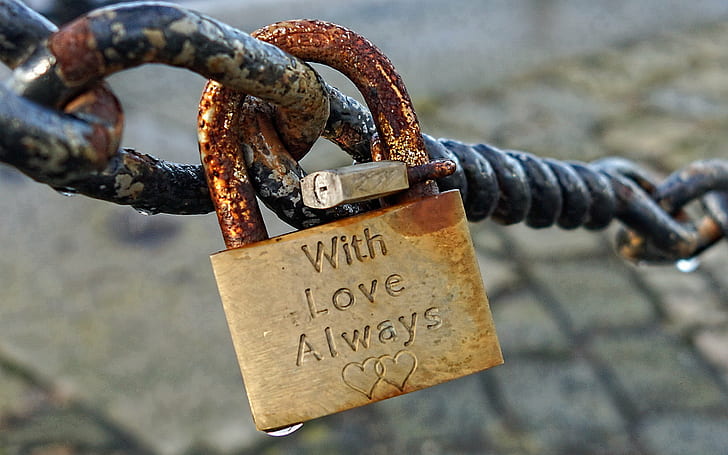 shallow focus photography of gray steel with love always engrave padlock