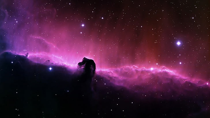 pink and black galaxy wallpaper, space, Horsehead Nebula, space art