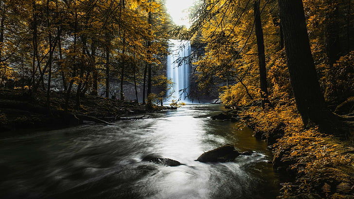 water, waterfall, forest, body of water, tennessee, autumn