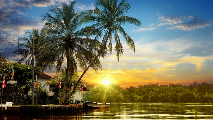 palm tree, sri lanka, sky, nature, water, summertime, summer sunset, HD wallpaper