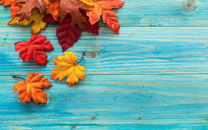 leaves, fall, wooden surface, wood - material, leaf, plant part, HD wallpaper