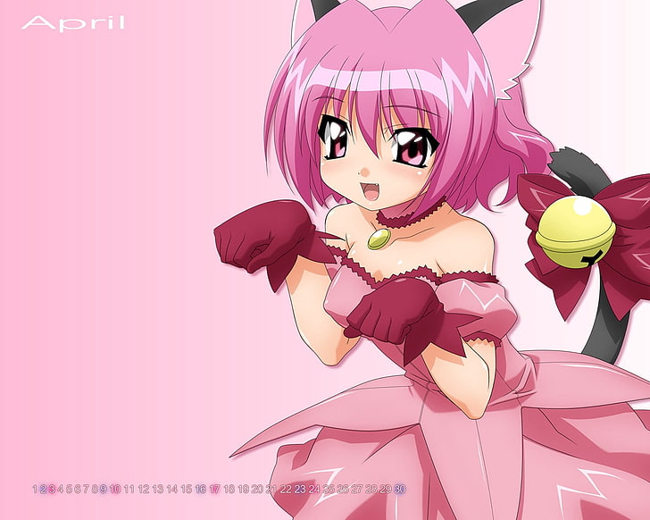 HD wallpaper: pink haired girl illustration, tomokazu, tokyo mew mew, cat,  dress | Wallpaper Flare
