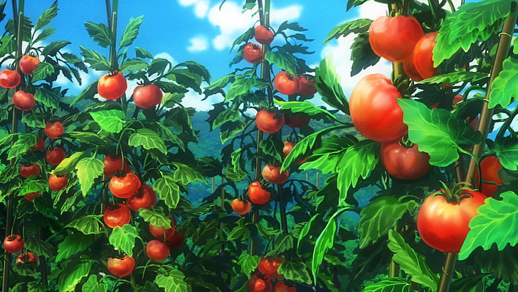 Non Non Biyori, tomatoes, plants, food and drink, fruit, healthy eating, HD wallpaper