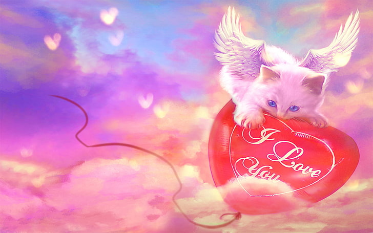 HD wallpaper: white cat wallpaper, the inscription, wings, hearts, I love  you | Wallpaper Flare