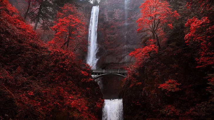 trees, fall, bridge, mountains, plants, rocks, water, waterfall