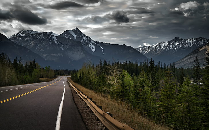 Jasper, Alberta, forest, Canada, road, trees, Rockies, mountain, HD wallpaper