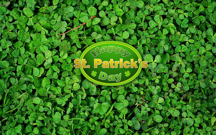 Holiday, St. Patrick's Day, Clover, Green