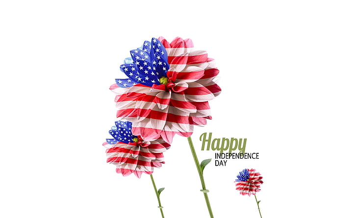 Independence Day USA, Happy Independence Day wallpaper, Holidays