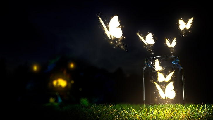 clear glass jar, butterfly, night, lights, fantasy art, grass