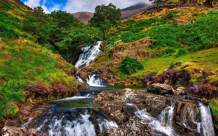 Snowdonia, rocks, river, stream, trees, mountains, grass, flowers, HD wallpaper