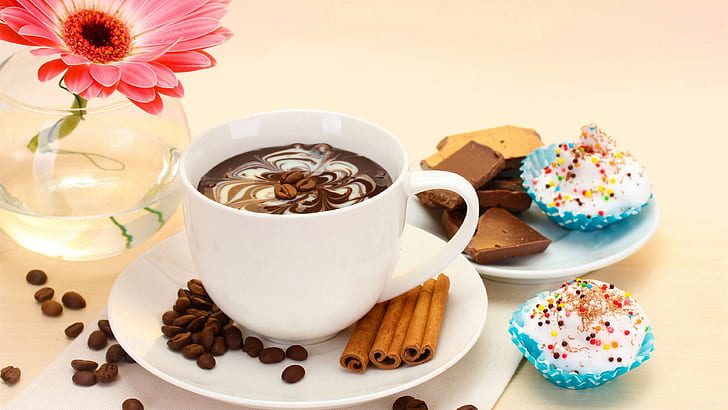 Coffee, chocolate, gerbera, cake, cup, white ceramic tea cup with saucer