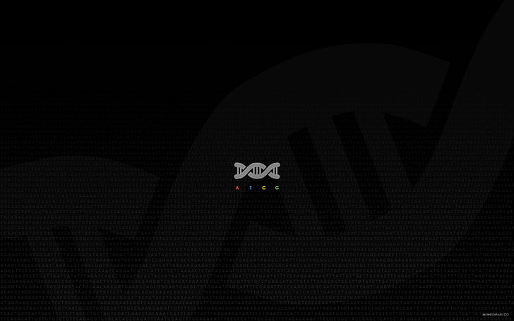 DNA, minimalism, HD wallpaper