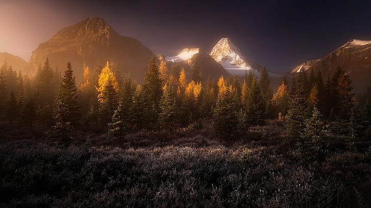landscape, nature, mist, forest, mountains, snowy peak, Canada, HD wallpaper