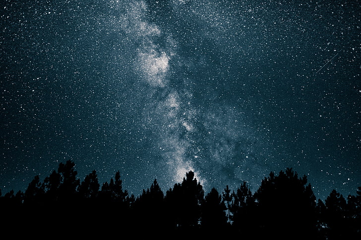 tree silhouette, starry sky, stars, night, star - Space, astronomy