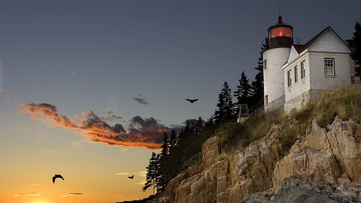 seagulls, lighthouse, cliff, rocky, coast, sky, sunrise, sunset, HD wallpaper