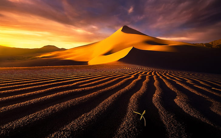 Desert, sand dunes, sky, clouds, hot, HD wallpaper