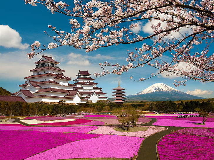 Aizuwakamatsu Castle, Fukushima, Japan, cherry flowers, park, HD wallpaper