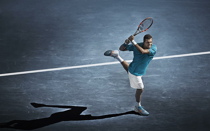 Jo-Wilfried Tsonga 2014 Tennis, sports, HD wallpaper