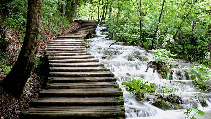 gray concrete stairs, nature, river, landscape, Croatia, plant, HD wallpaper