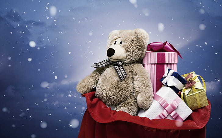 Teddy Bear, bears, animals, christmas, snow, beautiful, gift, HD wallpaper