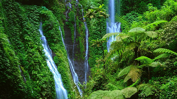 waterfall, vegetation, nature, green, body of water, watercourse, HD wallpaper