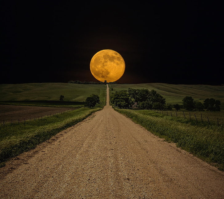 brown road and full moon, nature, abstract, flowers, night, sky, HD wallpaper