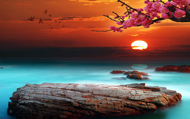 HD wallpaper: Sky Bright Sunset Desktop Background 333087 | Wallpaper Flare
