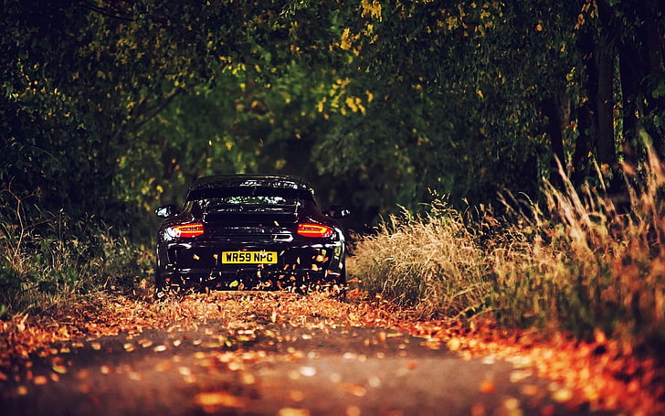 black Porsche 911 coupe, leaves, plant, mode of transportation