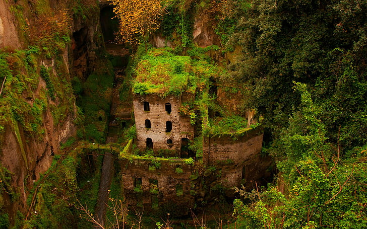 photography, abandoned, building, old building, ruin, overgrown, HD wallpaper