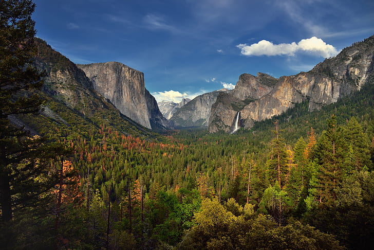 green tree covered mountain, yosemite valley, yosemite national park, yosemite valley, yosemite national park, HD wallpaper