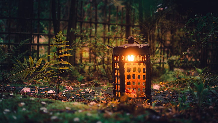 brown lantern lamp, photo of brown lamp surrounded by grass, nature