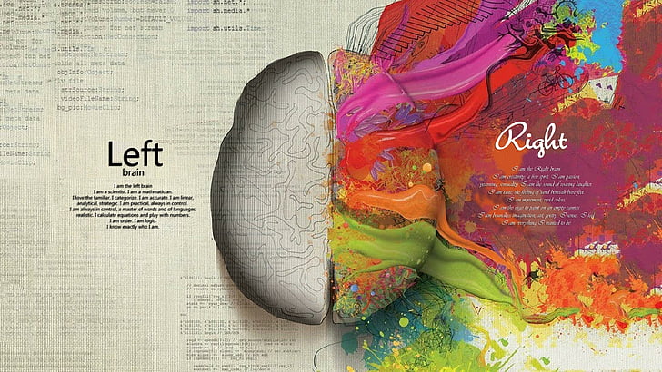 life, brain, cerebrum, inteligence, artistic, contrasts, creativity