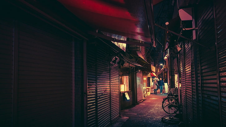gray roller shutter, Tokyo, Japanese, neon, bicycle, built structure