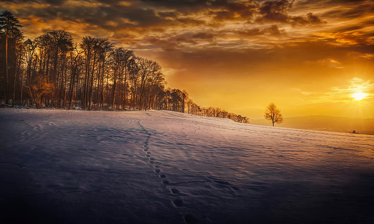 snow, footprints, landscape, winter, seasons, trees, sky, sunset