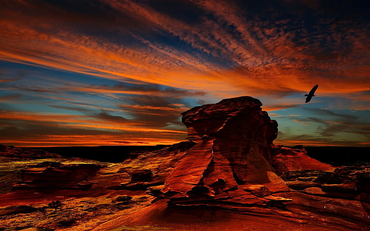rock formation, desert, Atacama Desert, sunset, erosion, birds