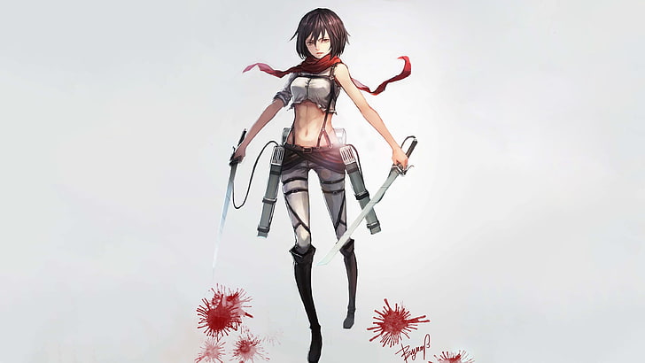 Attack on Titans Mikasa, Mikasa Ackerman, anime girls, weapon, HD wallpaper