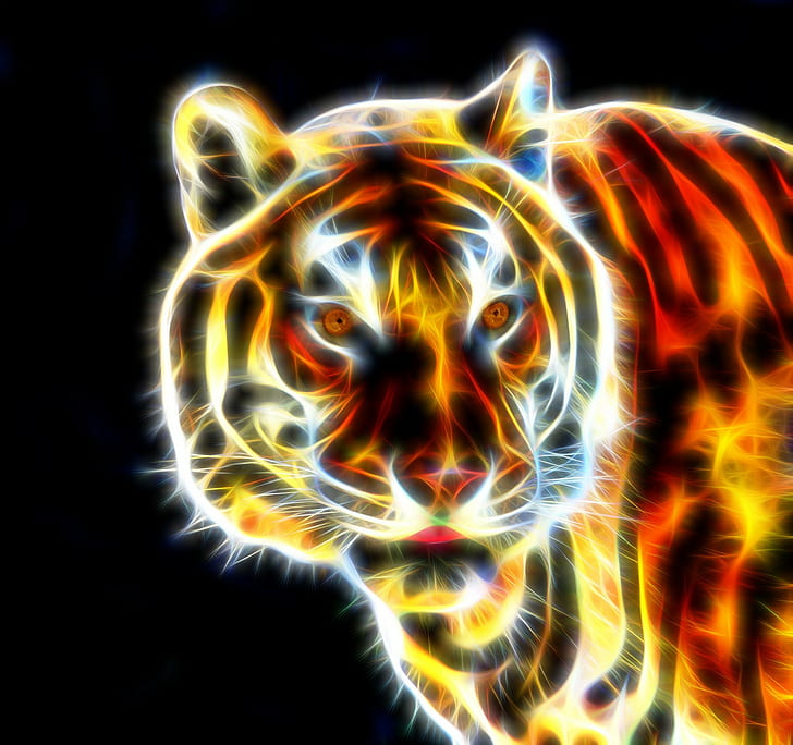 tiger, Fractalius, HD wallpaper