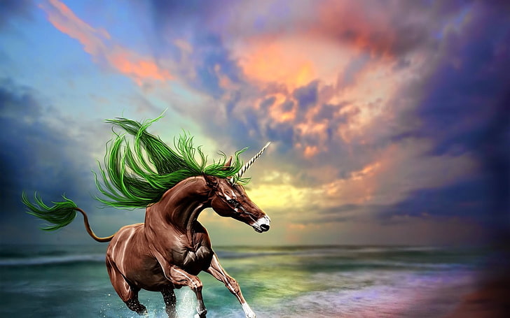 unicorns, horse, fantasy art, digital art, sky, water, sea, HD wallpaper
