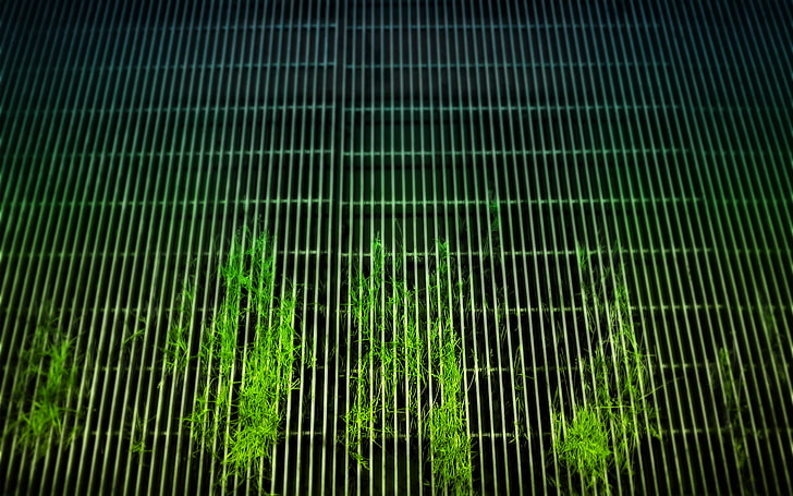 green leafed plants, grid, grass, metal, green color, no people