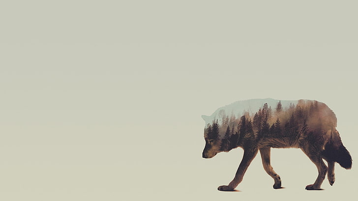 double exposure, Andreas Lie, animals, wolf, HD wallpaper