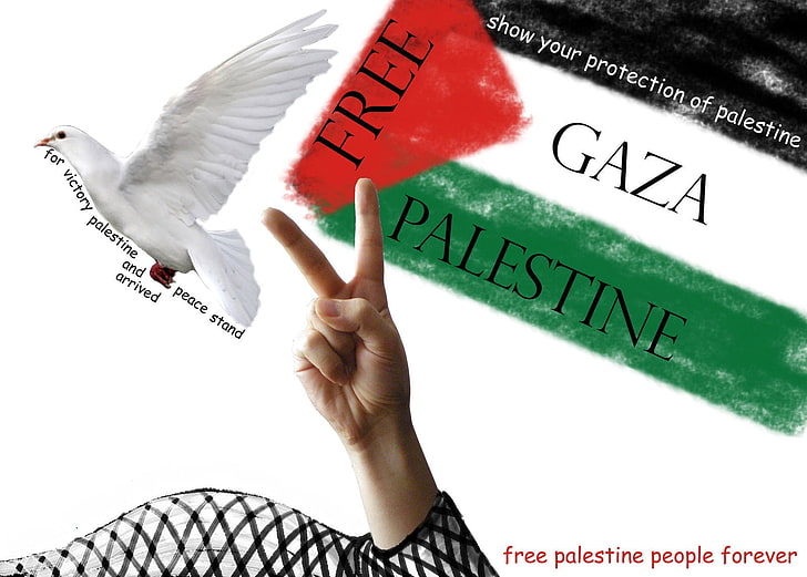 Palestine, flag, dove, Gaza, hands, supporters, propaganda