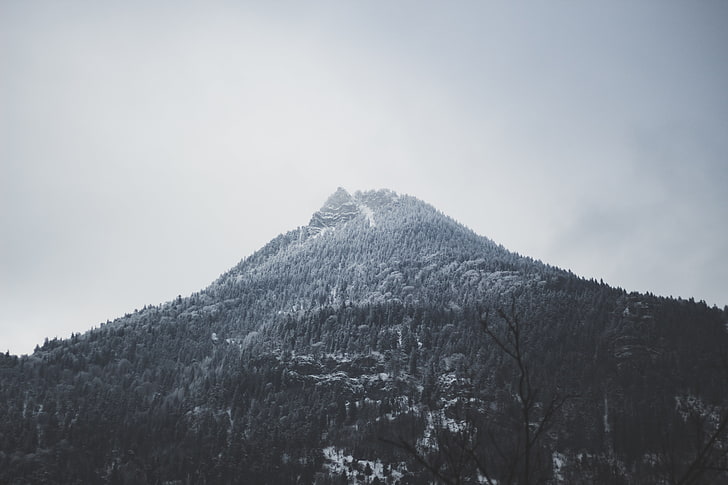 grayscale photo of mountain, Alps, mountains, snow, mist, forest