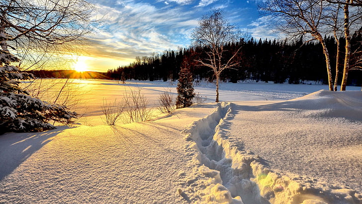 snow trail, winter, sky, nature, landscape, frozen, tree, morning, HD wallpaper