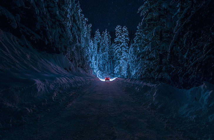 Enchanting Winter Drive, travel, forests, nature, snow, roads
