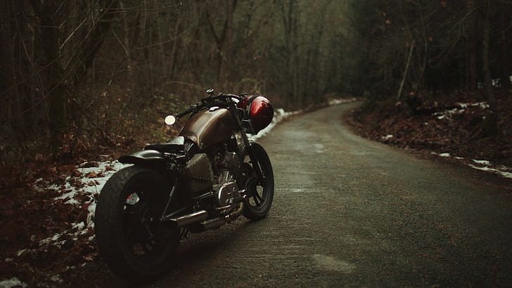 Bobber, Motorcycle, Nature, Snow, Trees, Leaves, Road, Helmet, Wheels, black and brown cruiser motorcycle