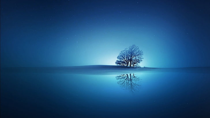 bare tree surround by water, trees, reflection, sky, scenics - nature